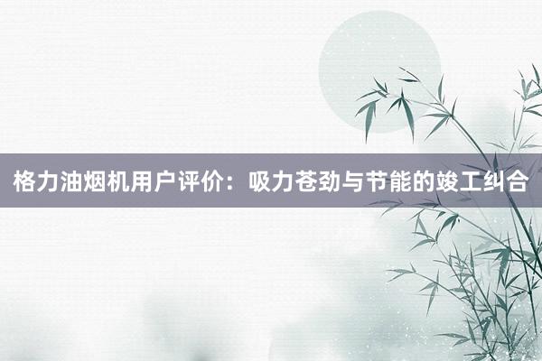 格力油烟机用户评价：吸力苍劲与节能的竣工纠合